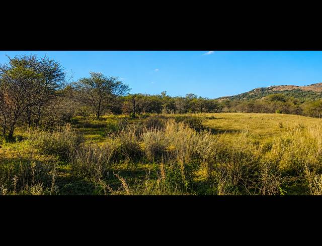 14.80HA FARM FOR SALE IN BLESBOKLAAGTE